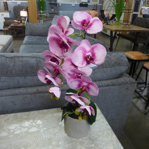 1314 - A double orchid arrangement, 61cms (53141412)   #