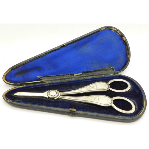 655 - A pair of antique silver grape scissors in fitted case, Sheffield 1891, 99g