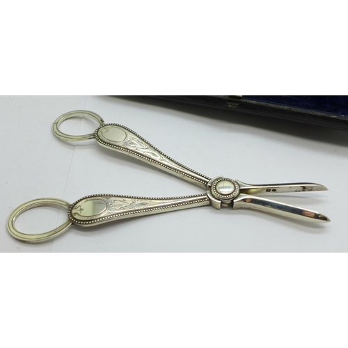 655 - A pair of antique silver grape scissors in fitted case, Sheffield 1891, 99g