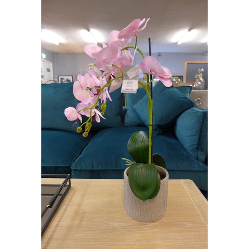 1314 - A double orchid arrangement, 61cms (53141412)   #