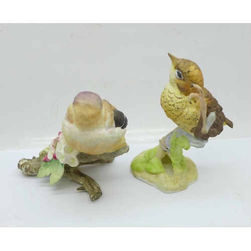 646 - Two Royal Worcester birds; fledgling robin and fledgling bullfinch