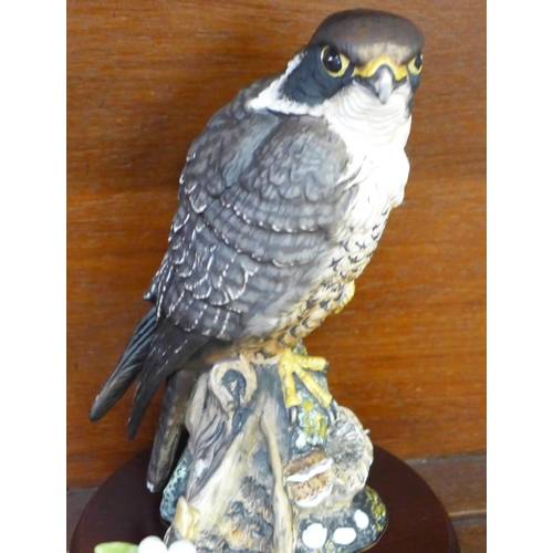 704 - A Royal Doulton limited edition Peregrine Falcon and three other models of birds, one model of Blue ... 