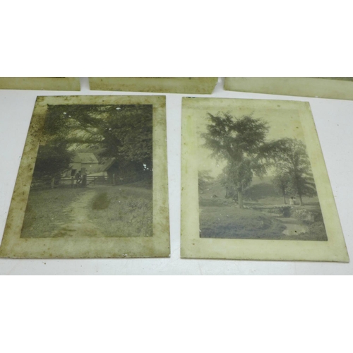 736 - Five Victorian and Edwardian opaque glass photographs