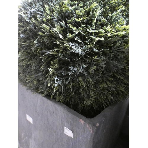 3228 - Cedar Ball Topiary, RRP £129.99 + VAT (229-542) * This lot is subject to VAT