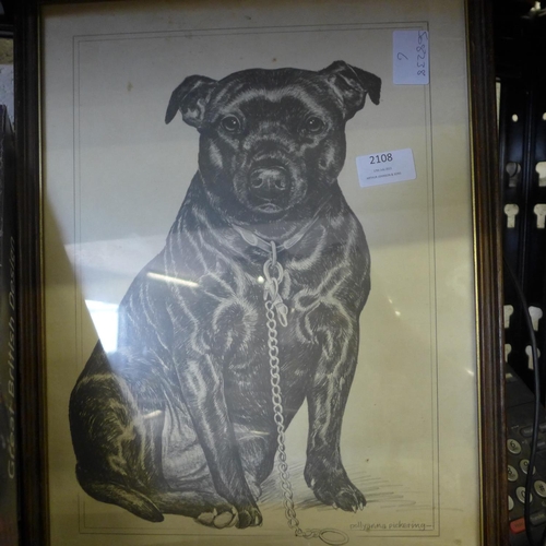 2108 - Pollyanna Pickering print of Staffordshire Bull Terrier