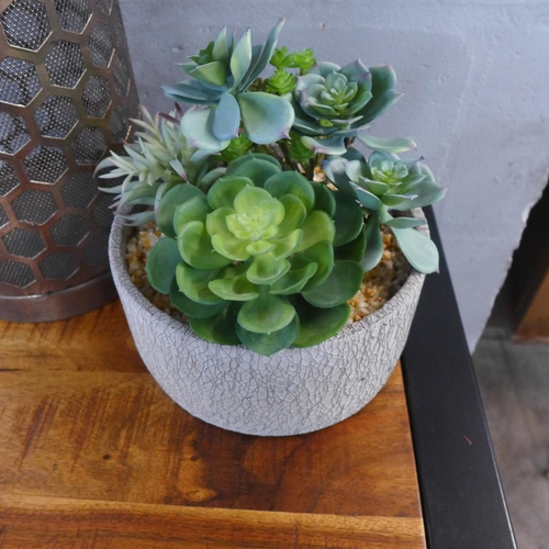 1516 - A mixed alpine display in a ceramic pot (50242910)  #