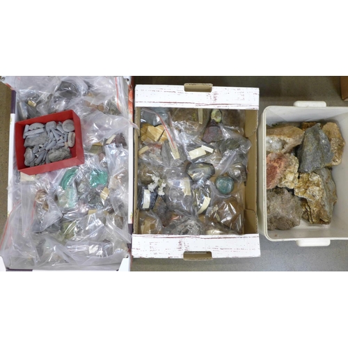 695 - A collection of mineral samples and fossils, many labelled and identified, (4 boxes)