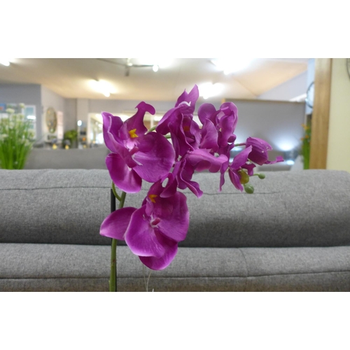 1457 - A single magenta Orchid in a taupe pot, 53cms (50312805)   #