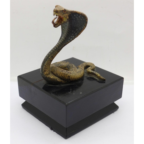 641 - A cold painted figure of a cobra mounted on a wooden base, 14.5cm