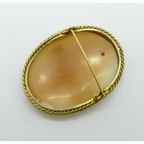 1062 - A gilt metal cameo brooch