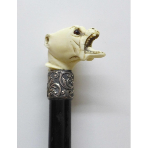 850 - A swagger stick with carved dogs head top, some a/f on dogs head