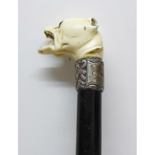 850 - A swagger stick with carved dogs head top, some a/f on dogs head