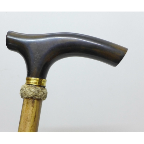 851 - A 19th Century bulls pizzle walking stick, L-shaped horn handle, gilt metal ferrule and horn tip, 92... 