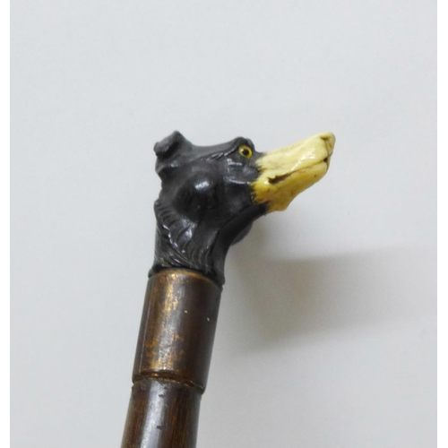 853 - A 19th Century gentleman's novelty walking cane, with stained ivory detail carved dog's head handle ... 