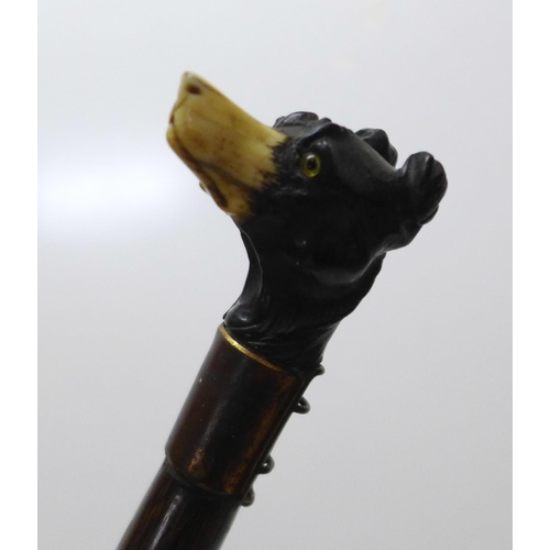 853 - A 19th Century gentleman's novelty walking cane, with stained ivory detail carved dog's head handle ... 