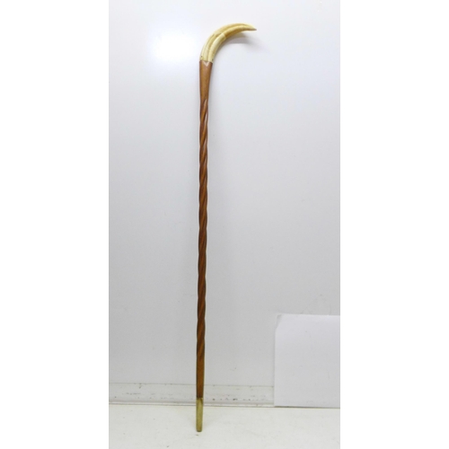 857 - A 19th Century gentleman's walking cane, wild boar tusk handle, spirally carved shaft, bone tip, len... 