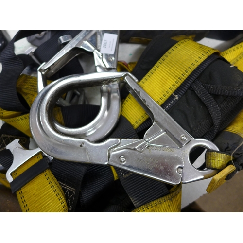 2007 - DBI Sala Nano Lock safety harness