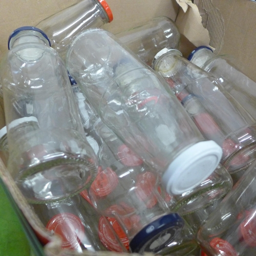 2437 - Large 60cm carboy plus approx. 40 glass wide necked bottles with lids