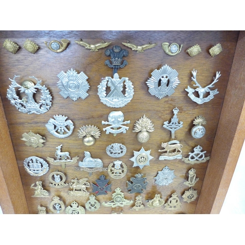 779 - A collection of Regimental cap badges and buttons, mounted in a display case (61)