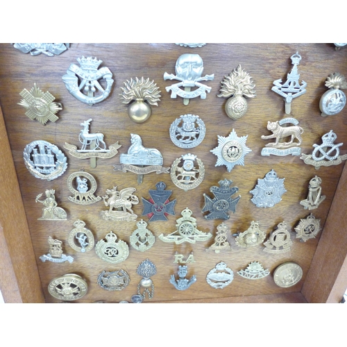 779 - A collection of Regimental cap badges and buttons, mounted in a display case (61)