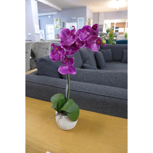 1461 - A single magenta Orchid in a taupe pot, 53cms (50312805)   #