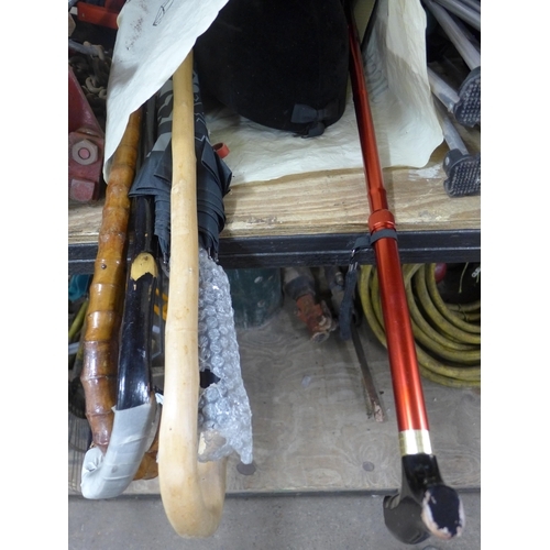 2461 - Bag of riding equipment and walking sticks