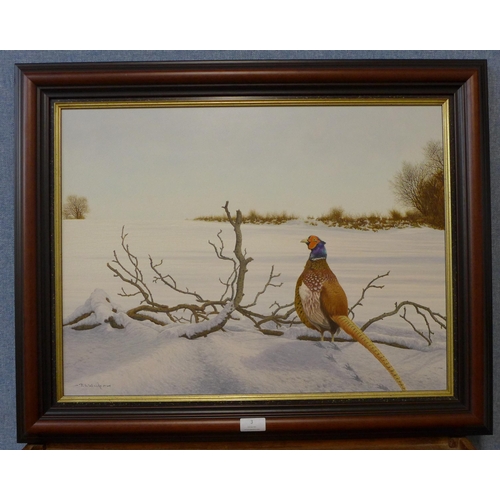 3 - Jerry S. Waide (b. 1948), pheasant in a winter landscape, oil on canvas, 45 x 60cms, framed