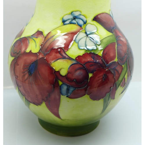 611 - A Moorcroft orchid vase, chip to rim, 25.5cm