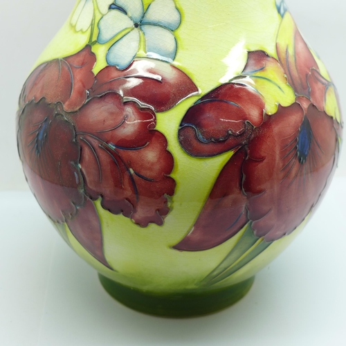 611 - A Moorcroft orchid vase, chip to rim, 25.5cm