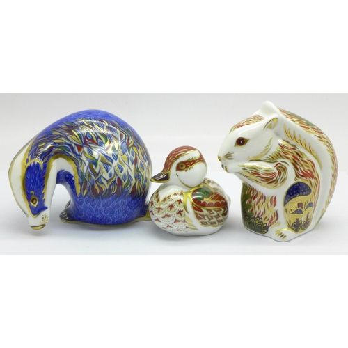 645 - Three Royal Crown Derby paperweights, Buxton Badger, 489 of 500, Stoney Middleton Squirrel, 297 of 5... 