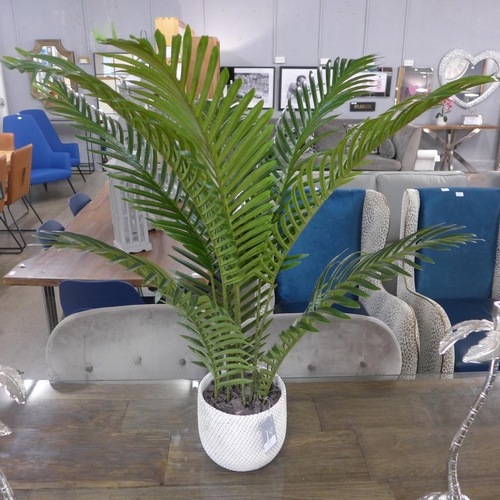 1398 - A large potted tropical palm, H 100cms (pot repaired)(50244231)   #