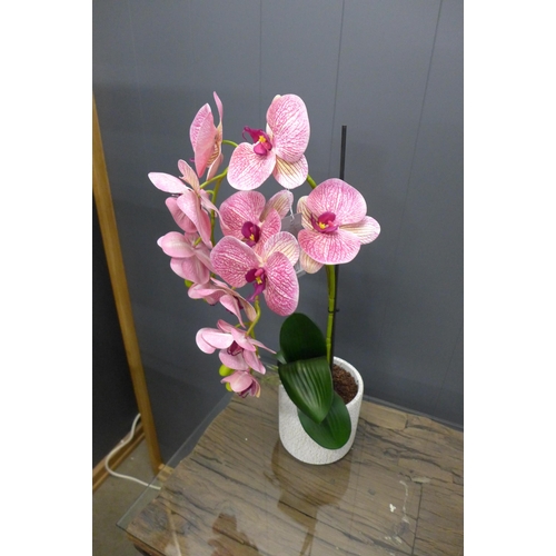 1478 - A double orchid arrangement, 61cms (53641412)   #