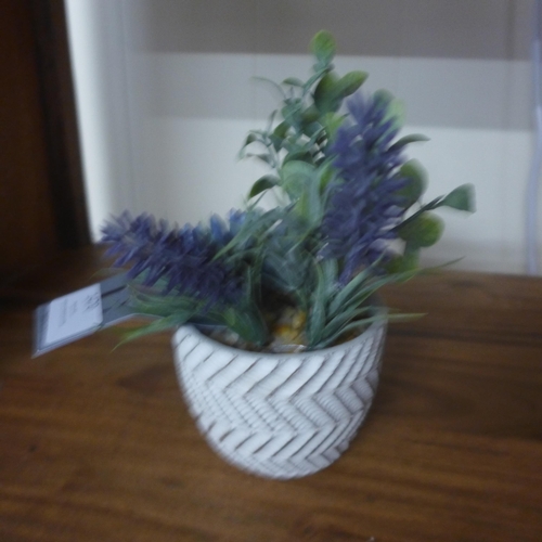 1470 - A mini succulent alpine arrangement, H 17cms (50746403)   #