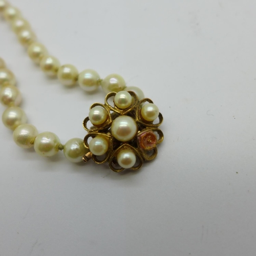 877 - A pearl necklet with 9ct gold clasp, one pearl missing