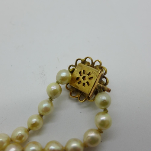 877 - A pearl necklet with 9ct gold clasp, one pearl missing