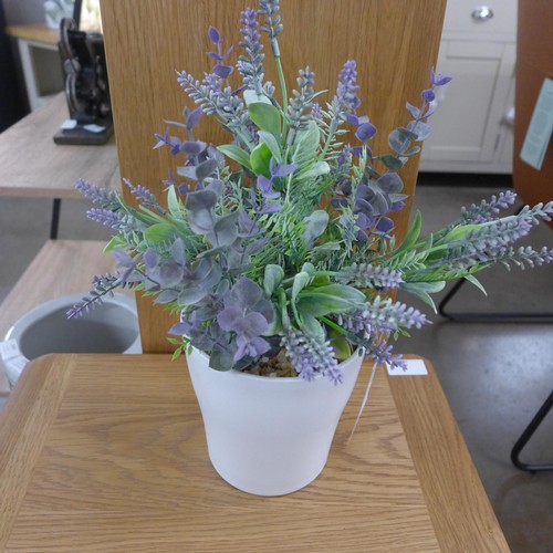 1311 - A lavender and eucalyptus display in a white pot, H 35cms (54345506)   #