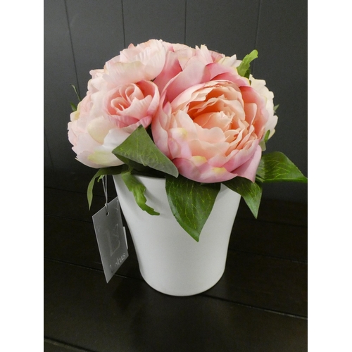 1338 - A potted eternity rose in a white pot, H 19cms (50612606)   #