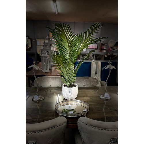 1384 - A large potted tropical palm, H 100cms (pot repaired)(50244231)   #