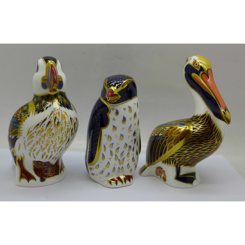 651 - Three Royal Crown Derby Sea Bird Paperweights - 'Rockhopper Penguin', designed by John Ablitt,  21st... 