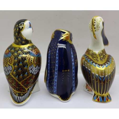 651 - Three Royal Crown Derby Sea Bird Paperweights - 'Rockhopper Penguin', designed by John Ablitt,  21st... 
