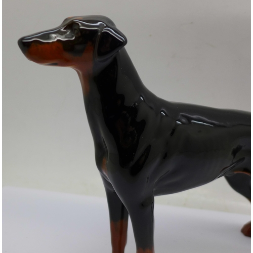 658 - A Beswick Doberman