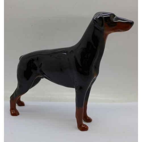 658 - A Beswick Doberman