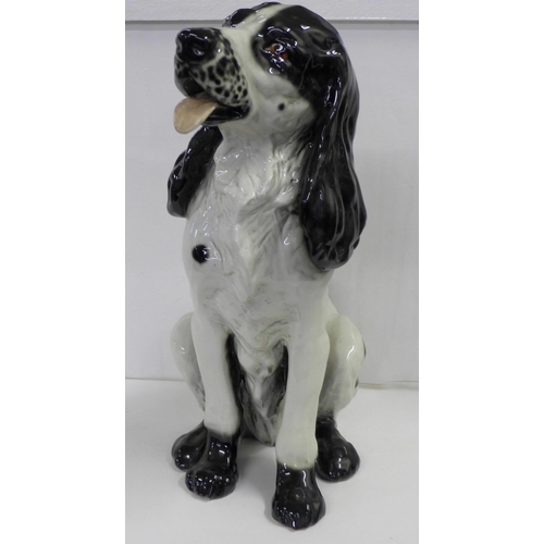 824 - A large china figure of a springer spaniel dog, 43.5cm