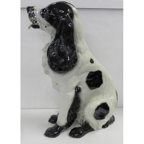 824 - A large china figure of a springer spaniel dog, 43.5cm