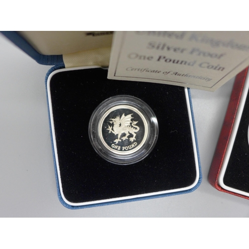 870 - A 1990 silver proof old and new size 5p coins and a 1995 silver proof £1 coin, Royal Mint