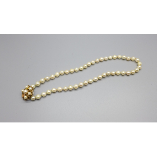 877 - A pearl necklet with 9ct gold clasp, one pearl missing