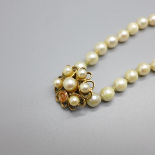 877 - A pearl necklet with 9ct gold clasp, one pearl missing