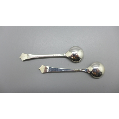 891 - A pair of late Victorian silver Albany pattern salt spoons, Birmingham 1896