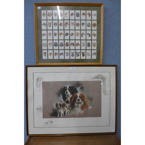 346 - A limited edition print of dogs and a framed cigarette card collection