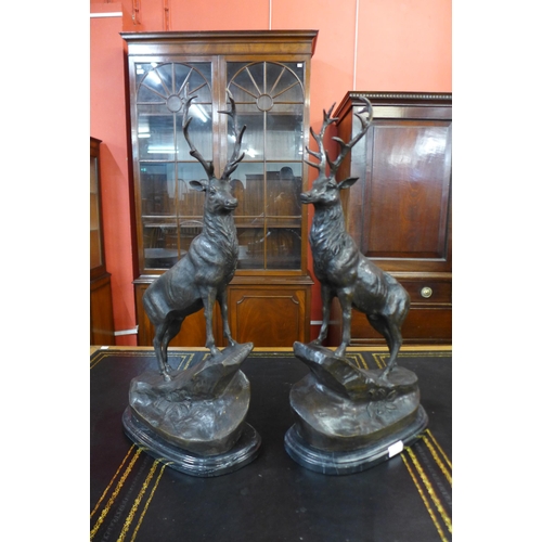 38 - A pair of large French style bronze stags, on black marble plinths, 72cms h